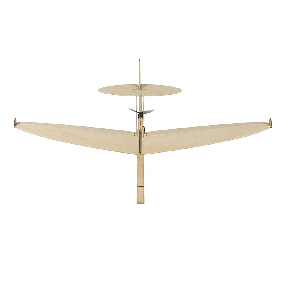 RC Vliegtuig Model Laser Gesne - Flight Controller recensie en prijs